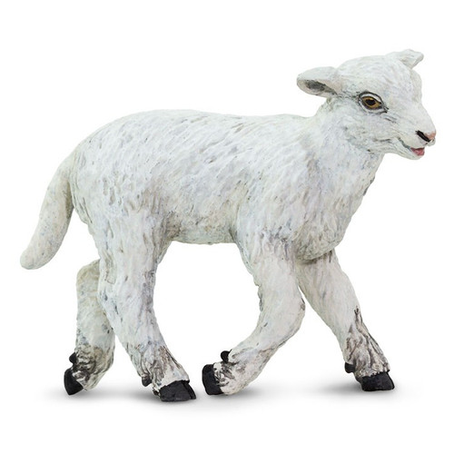 Lamb
