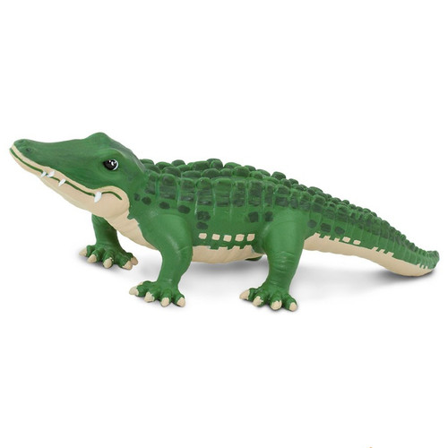 Bernie the Alligator