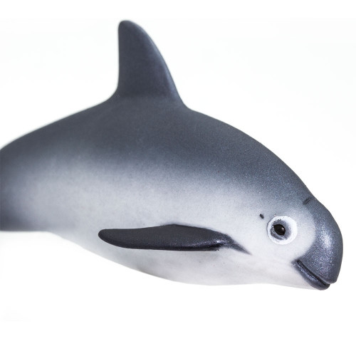 Vaquita Porpoise