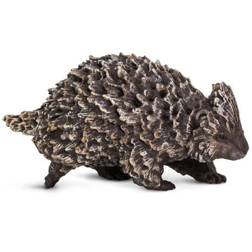 Porcupine