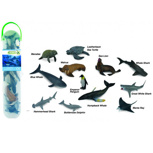 Marine Tube B