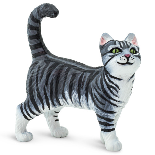 Grey Tabby Cat