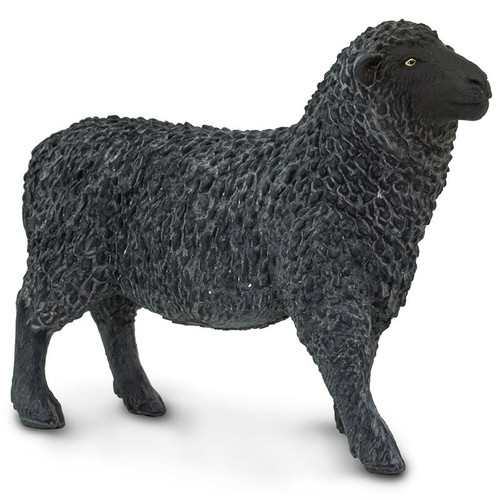 Black Sheep