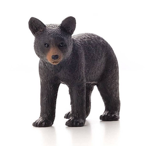 Black Bear Cub Mojo