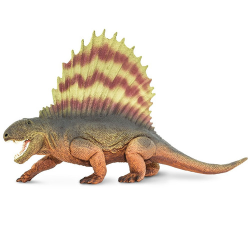 Dimetrodon