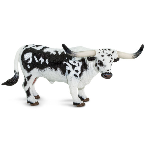 Texas Longhorn Bull Safari