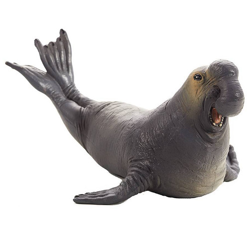 Sea Elephant
