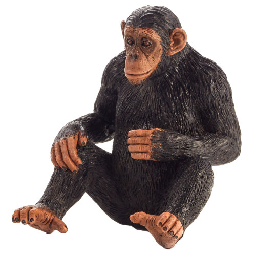 Mojo Wild Australia Free Shipping