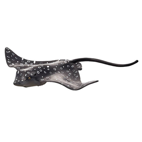 Spotted Eagle Ray