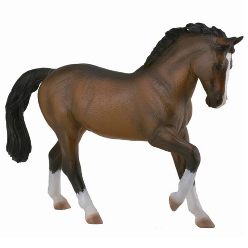 Warmblood Stallion Bay