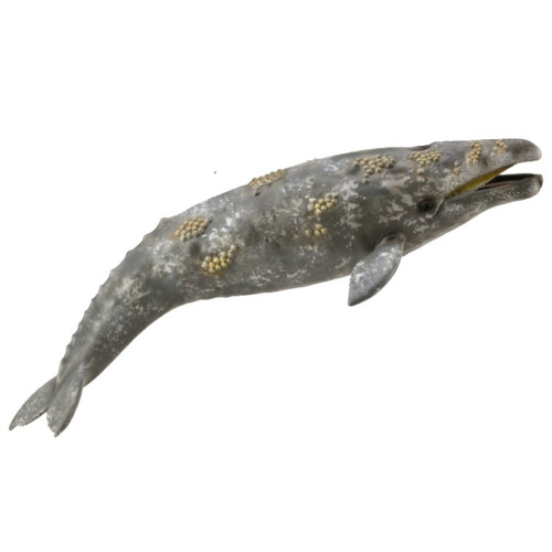 Grey Whale CollectA 2018