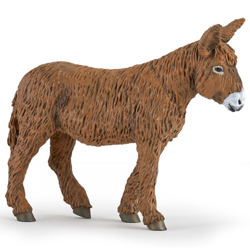Poitou Donkey