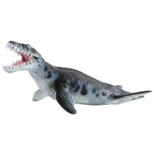Liopleurodon Medium