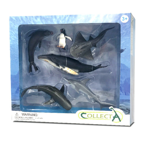 Sea Life Gift Set 6pc