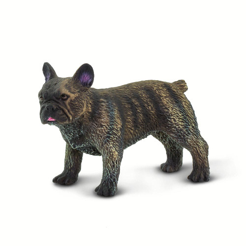 French Bulldog Safari