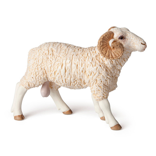 Ram Papo