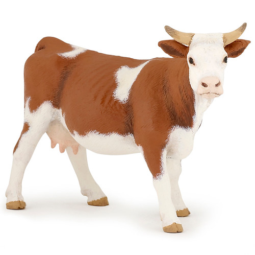 Simmental Cow Papo