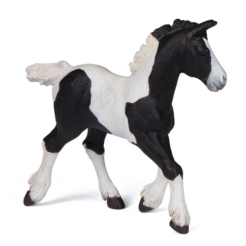 Black Cob Foal