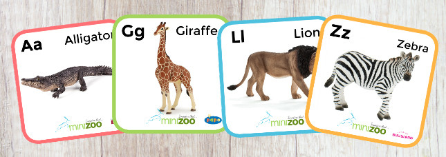 A-Z MiniZoo Flash Cards | MiniZoo Blog