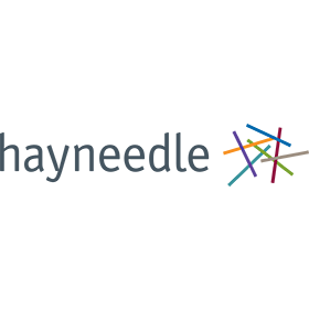 hayneedle-logo.png