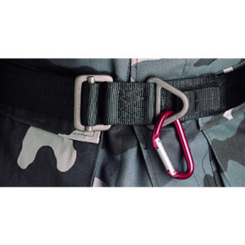ENTRY/EXTRACTION BELT