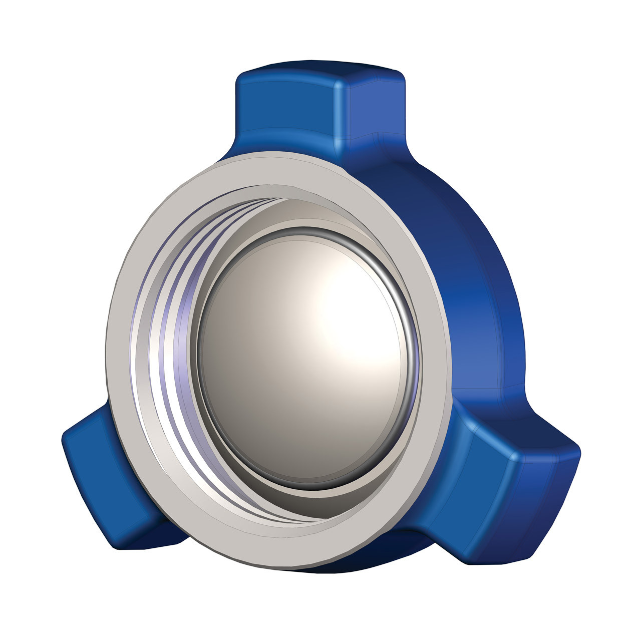 Dixon Fig. 206 Low Profile Hammer Union Cap John M. Ellsworth Co. Inc.