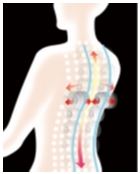 Osaki computerized Body Scans ensure the most relief from a massage chair.