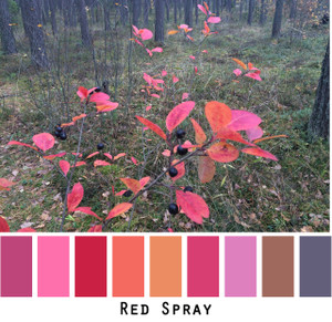 Red Spray - red fuchsia tangerine orange pink purple brown for green eyes, brown eyes, brunette, black hair, gray hair photo by Inese Iris Liepina, Wrapture by Inese
