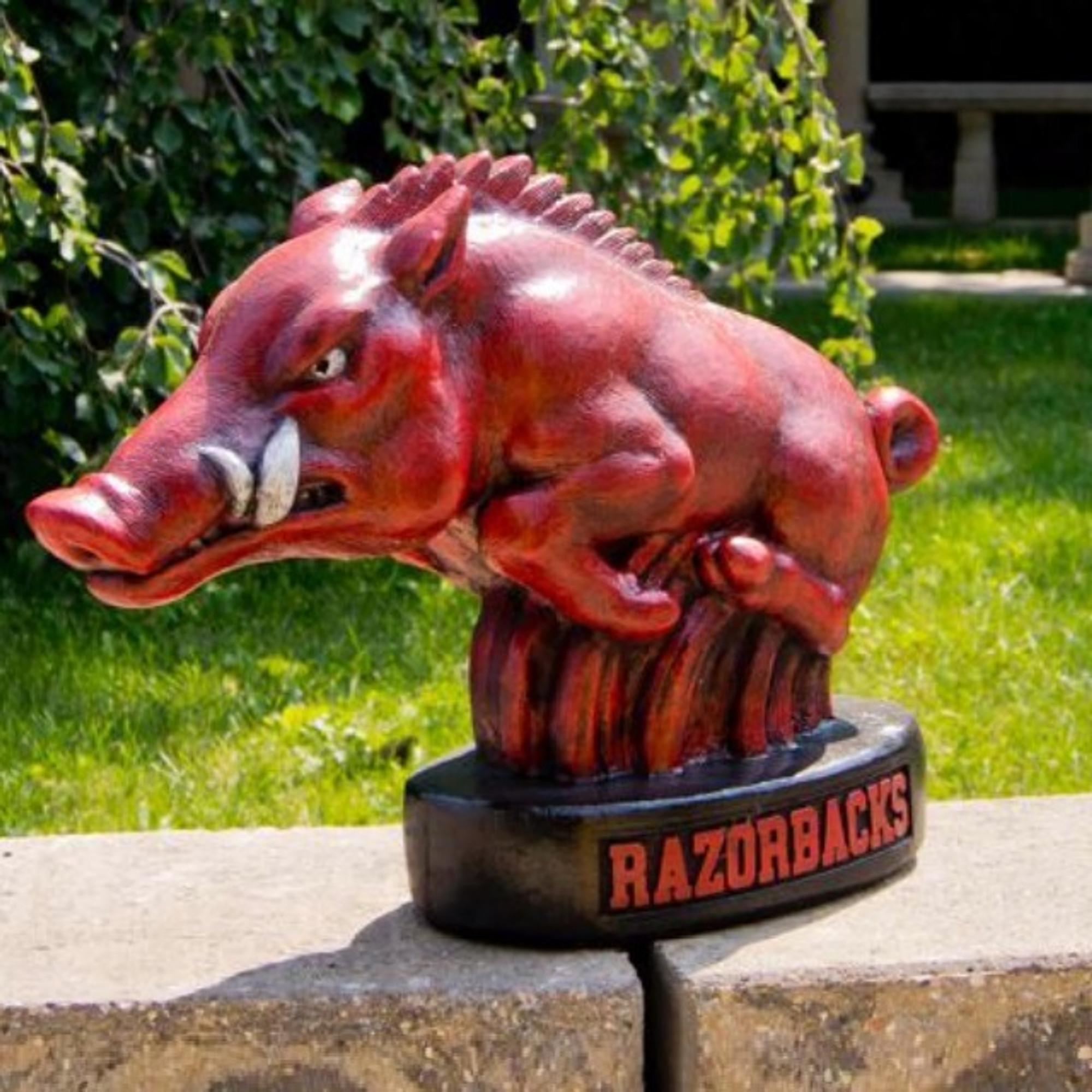 Arkansas Razorbacks Mascot Garden Statue   1  22666.1466021240 