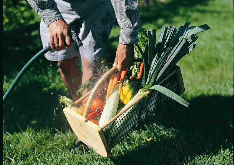 Garden Hod