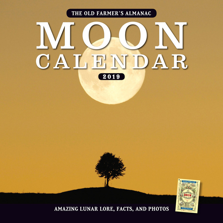 2019 Moon Calendar