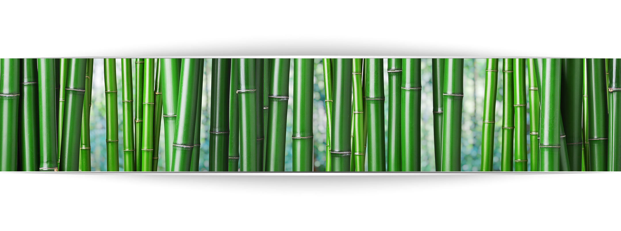 moso-bamboo-socks.jpg