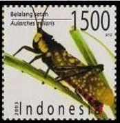 baami-stamp.jpg