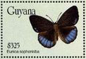 basag-stamp-1.jpg