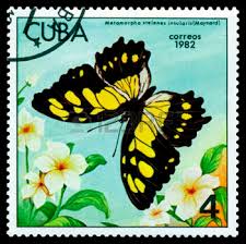 Image result for VICTORINA STELENES stamp