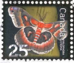 Image result for Hyalophora cecropia stamp