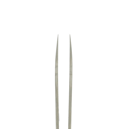 Dumont Titanium Tweezers #1