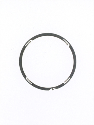 Tag Heuer Bezel Spring -TAG INS 1 - Main