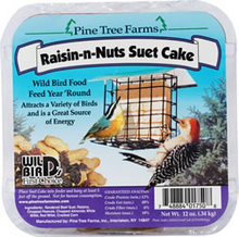 Raisin-N-Nuts Suet Cake