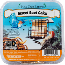 Insect Suet cake
