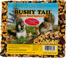 Bushy Tail Cake