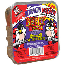 Berry Treat Wild Bird Treat