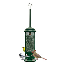 Squirrel Buster Legacy