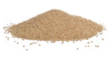 White Millet