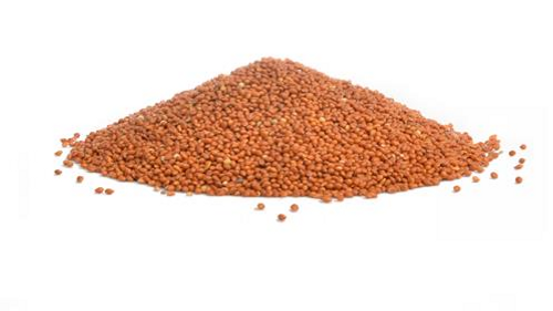 Red Millet