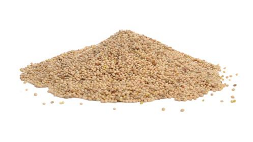 Economy Parakeet Food