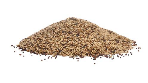 Economy Canary Food
