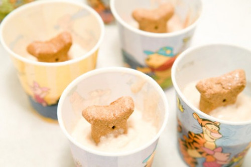 9 DIY Summer Treats for your dog