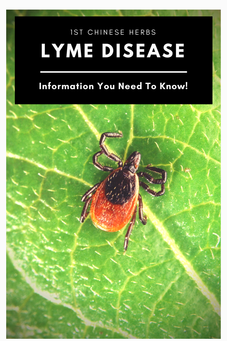 Lyme Disease Information - Symptoms, Prevention, Treatment