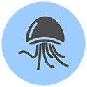 jellyfish-icon-2.png jellyfish-icon-2.png